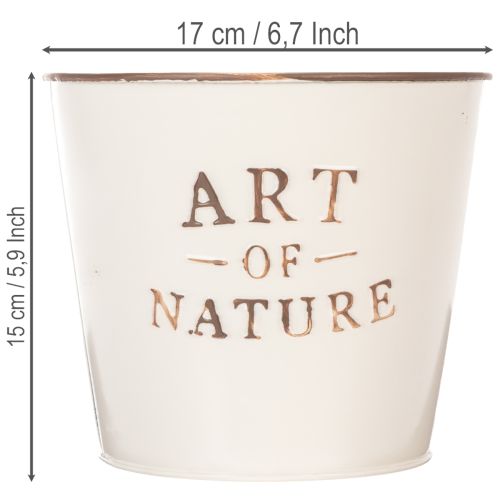 Sinkkiruukku Art of Nature Cream Ø17,5cm K15cm | Floristik24.fi