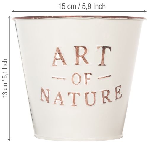 Sinkkiruukku, kermanvärinen, Ø15cm, korkeus 13.5cm | Floristik24.fi