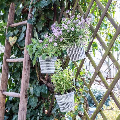 Floristik24 Kukkaruukku metallisen antiikkikerman ripustamiseen Ø13cm K11,5cm