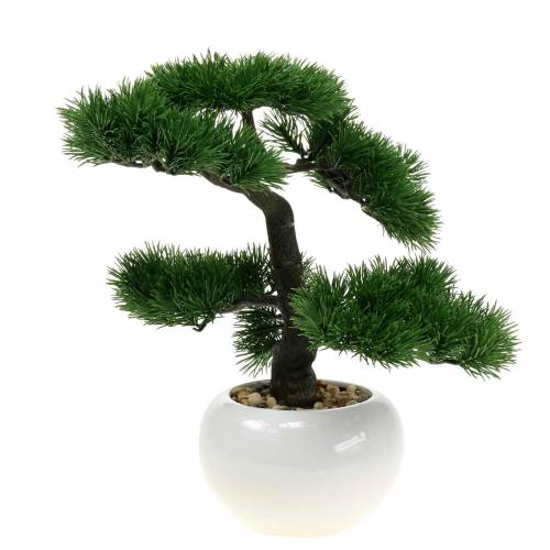 Floristik24 Bonsai puu keraaminen ruukku tyttö mänty keinotekoinen H36cm