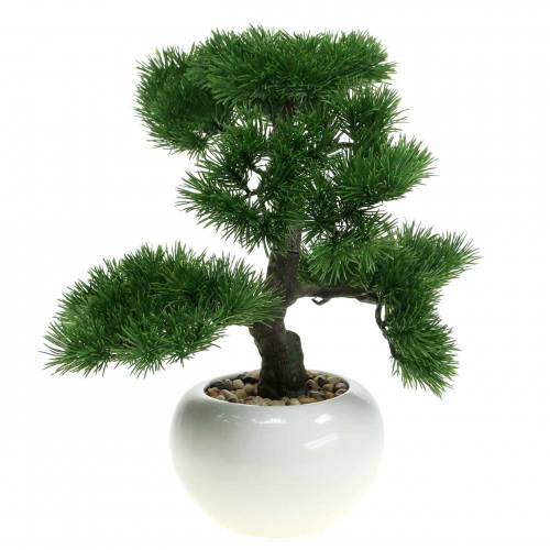 Floristik24 Bonsai puu keraaminen ruukku tyttö mänty keinotekoinen H36cm