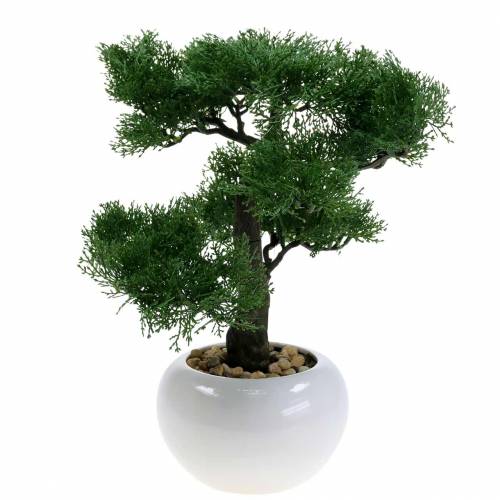 Floristik24 Bonsai-keinotekoinen mänty ruukussa H36cm