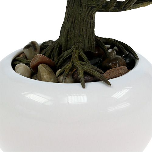Floristik24 Bonsai-puu ruukussa 19cm 1kpl