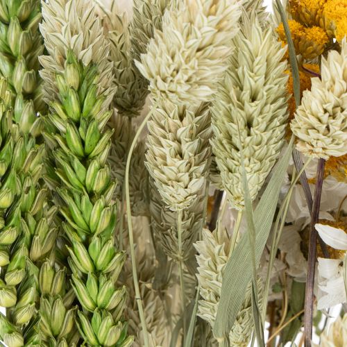 kohteita Kuivakukkakimppu, elegantti kuivakukkakimppu olohuoneeseen, 50cm