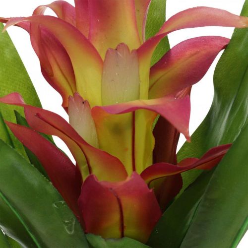 Floristik24 Bromeliad keinotekoinen Pinkki Tekokukka kiinnitettäväksi 54cm