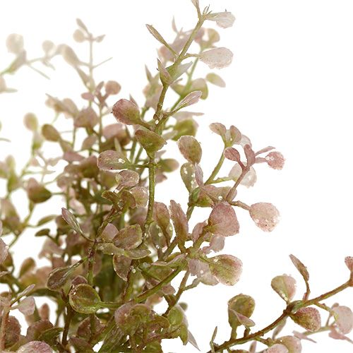 Floristik24 Puksipuun oksa Vaaleanpunainen kiille 32cm