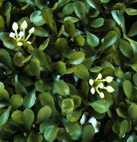 Floristik24 Laatikkopallo Ø30cm