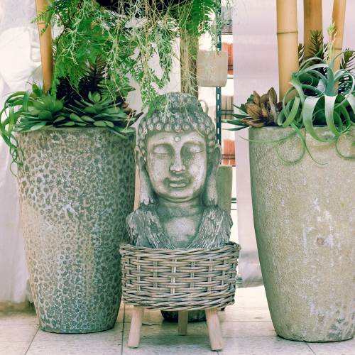 Floristik24 Buddhan pää, korkeus 55 cm