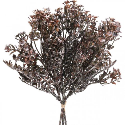 kohteita Keinotekoiset kasvit ruskea syyskoristelu talvikoristelu Drylook 38cm 3 kpl