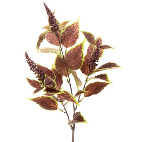 Keinotekoinen koleus punaisilla lehdillä, tekokasvi, 20cm ostaa | Floristik24.fi