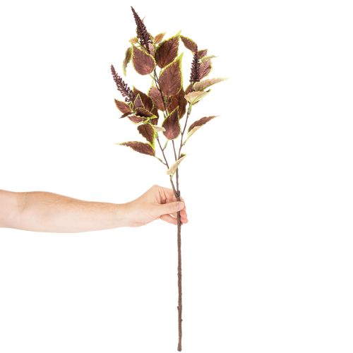 Keinotekoinen koleus punaisilla lehdillä, tekokasvi, 20cm | Floristik24.fi