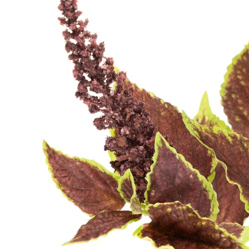 Keinotekoinen koleus punaisilla lehdillä, tekokasvi, 20cm | Floristik24.fi
