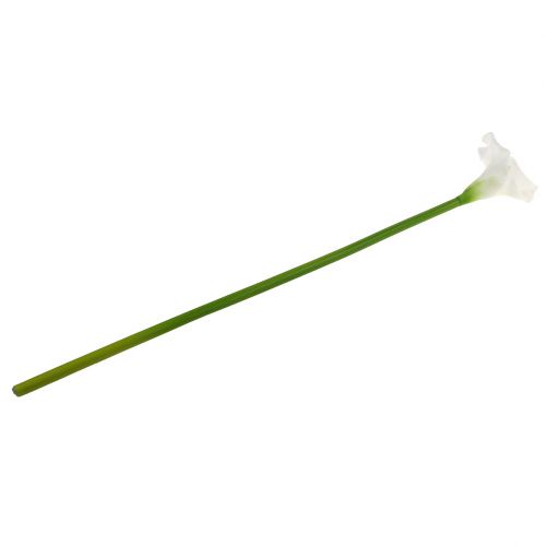 Floristik24 Keinotekoinen Calla valkoinen 67cm