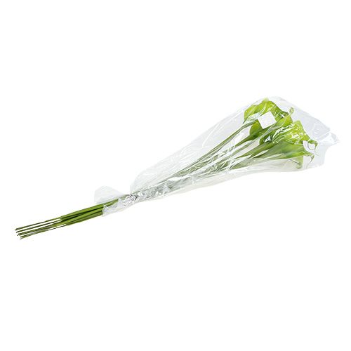 Floristik24 Calla tekovihreä 8cm L57cm 12kpl
