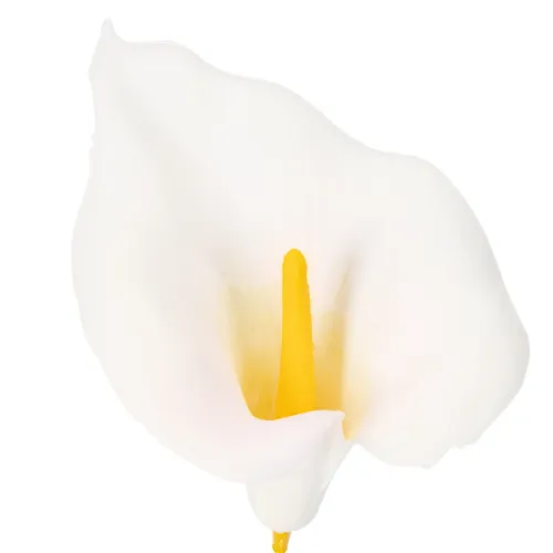 Keinotekoinen kalla keltaisilla heteillä, koristeellisilla kukilla, 35 cm, 10 kpl | Floristik24.fi
