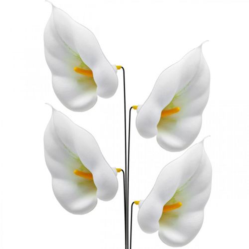 Calla medium langalla 50 kpl