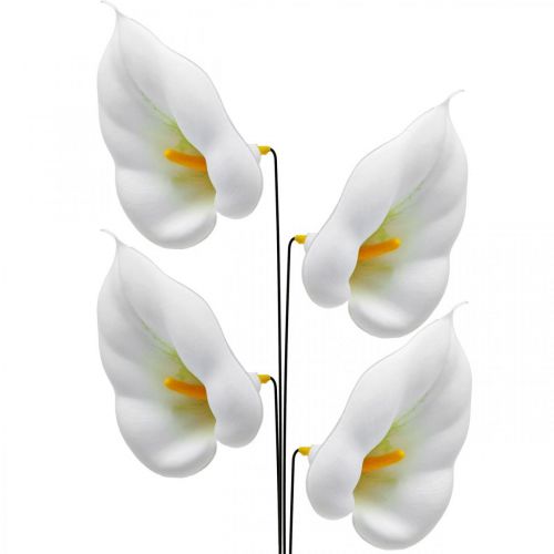 Floristik24 Calla medium langalla 50kpl