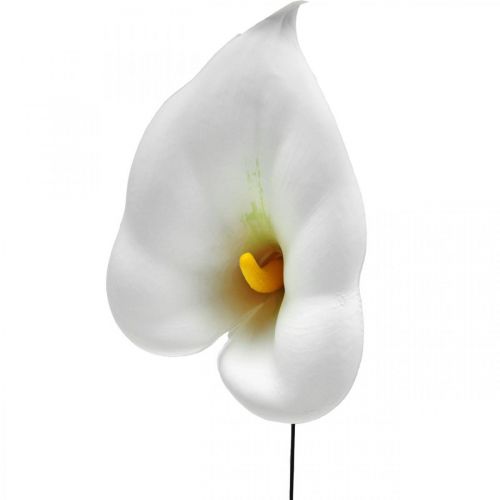kohteita Calla medium langalla 50 kpl