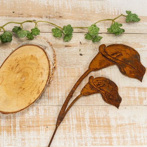 Puutarhakeppi kallaruoste haudoille ja kukkakauppoihin 25cm 6kpl | Floristik24.fi