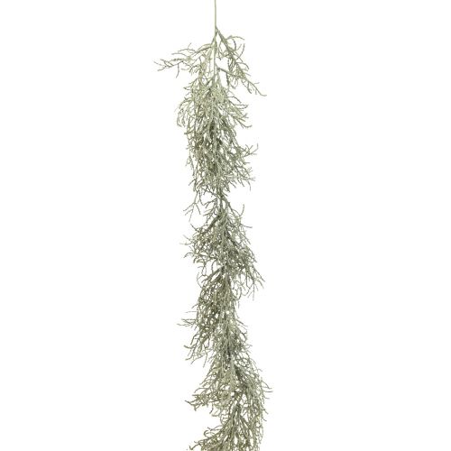 Floristik24 Calocephalus Garland Keinotekoiset kasvit Hopeanharmaa 122cm