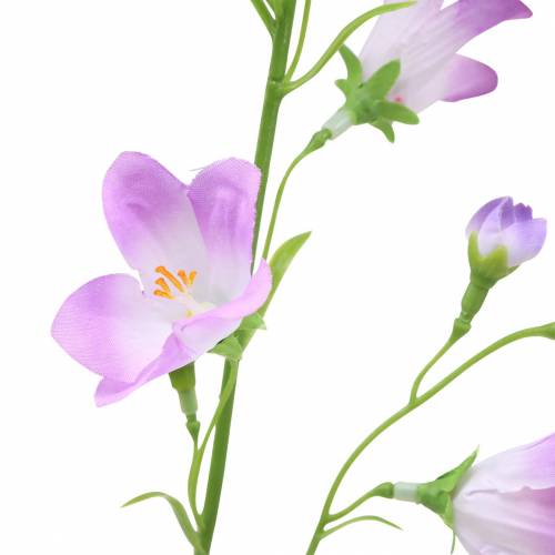 Floristik24 Keinotekoinen kellokukka Campanula Violet White 66cm