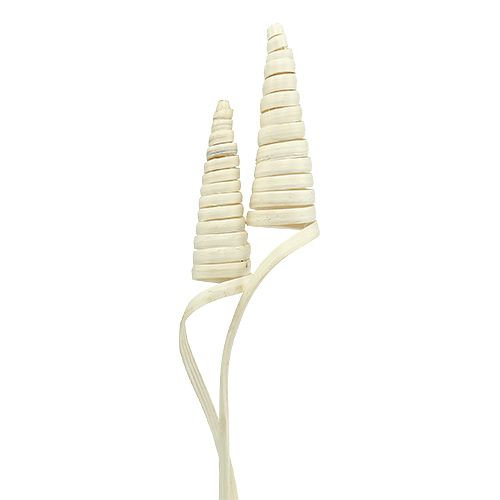 Floristik24 Cane Cone valkaistu 25 kpl