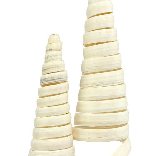 Floristik24 Cane Cone valkaistu 25 kpl