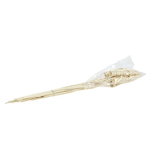 Floristik24 Cane Cone valkaistu 25 kpl