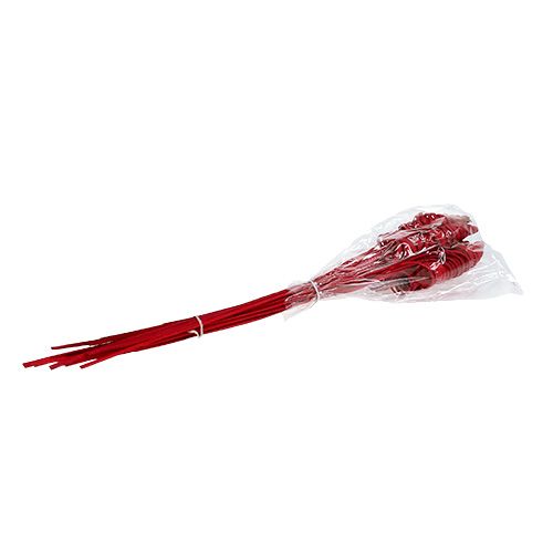 kohteita Cane Cone punainen 25 kpl