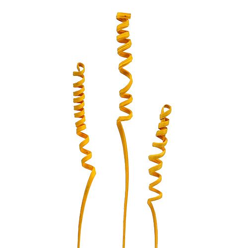 Floristik24 Cane Spring mini kullankeltainen 25 kpl