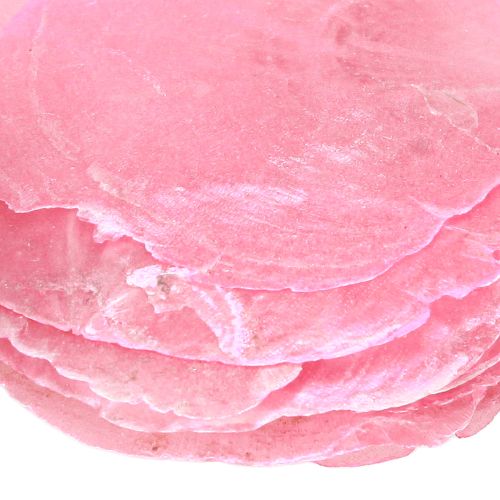 kohteita Capiz-kuorikoristelu vaaleanpunaisella marjalla 5cm–8cm sekoitus 60 kpl