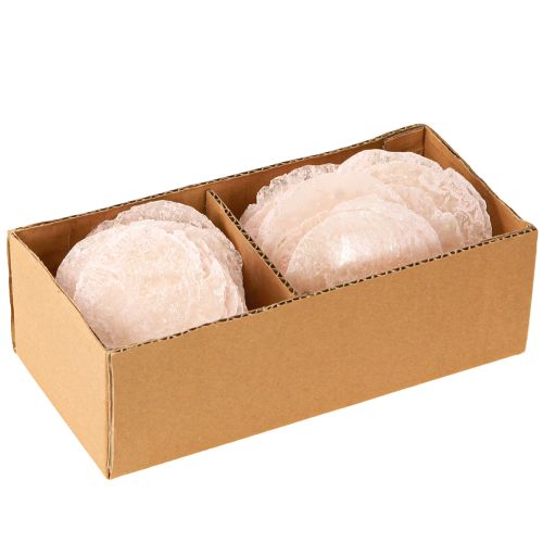 Floristik24 Capiz kuoret helmiäislevyt deco kuoret vaaleanpunainen Ø8cm