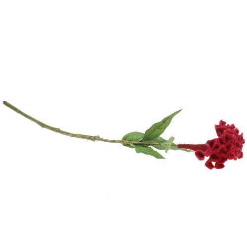 Floristik24 Celosia cristata kukkakimppu punainen 72cm
