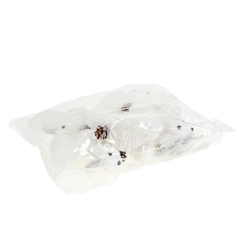 Floristik24 Joulukuusikoristeet orava valkoinen 7cm 6kpl