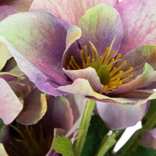 Keinotekoinen jouluruusujen kimppu violeteilla kukilla, 35 cm, 6 kpl | Floristik24.fi