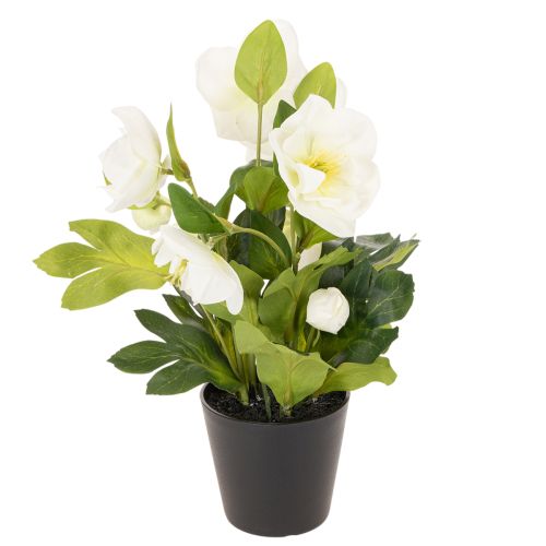 Keinotekoinen jouluruusu, ruukkukukka, pöytäkoriste, 34 cm | Floristik24.fi