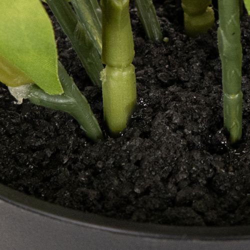 Keinotekoinen jouluruusu, ruukkukukka, pöytäkoriste, 34 cm | Floristik24.fi