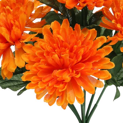 kohteita Krysanteemi-oranssi, 7 kukkaa