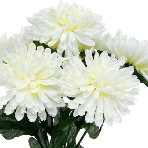 kohteita Krysanteemi valkoinen, 7 kukkaa