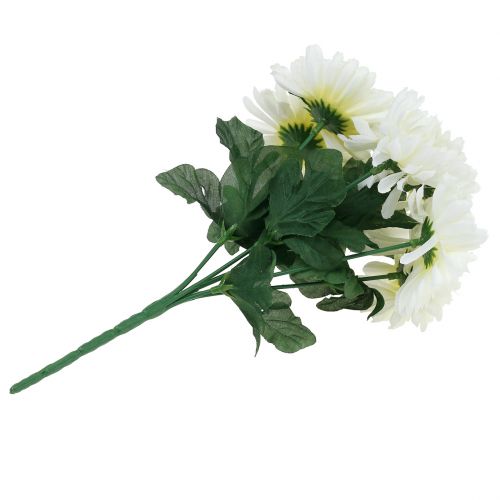 Floristik24 Krysanteemi valkoinen, 7 kukkaa