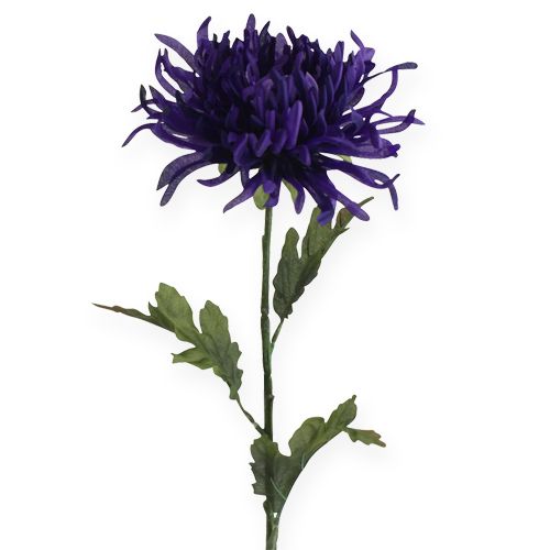 Floristik24 Krysanteemi violetti 74cm