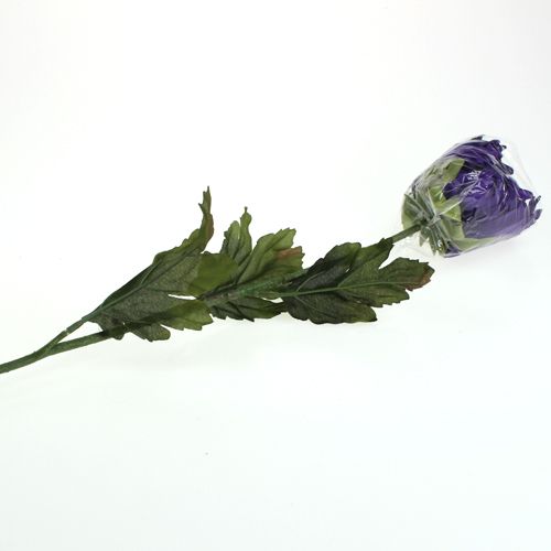 Floristik24 Krysanteemi violetti 74cm