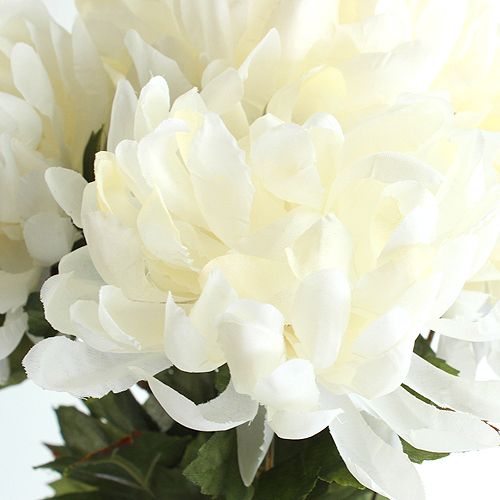 Floristik24 Krysanteemipensasvoide 47cm 2kpl