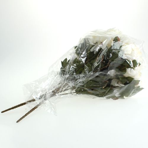 Floristik24 Krysanteemipensasvoide 47cm 2kpl