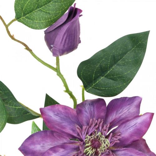 Floristik24 Keinotekoinen klematis, silkkikukka, koristeoksa klematiksen kukilla violetti L84cm