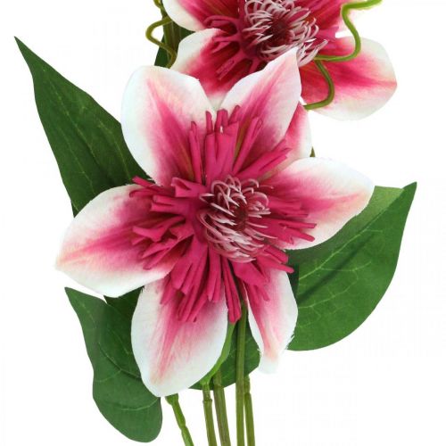 kohteita Clematis-oksa 5 kukkaa, tekokukka, koristeoksa vaaleanpunainen, valkoinen L84cm