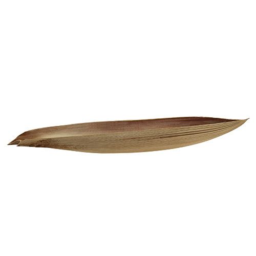 Floristik24 Kookospalikan palmu lehti 60-80cm luonto