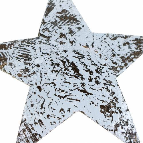 kohteita Kookostähti valkoinen pesty 10cm 20 kpl