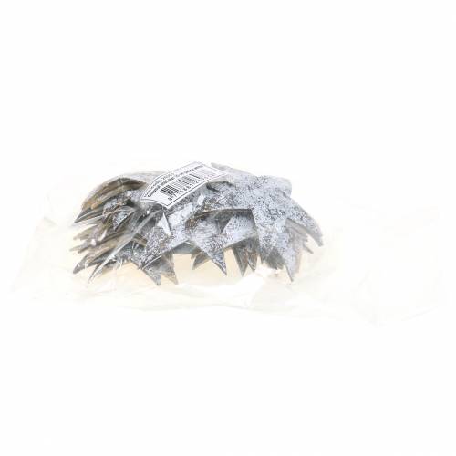 kohteita Kookostähti valkoinen pesty 10cm 20 kpl