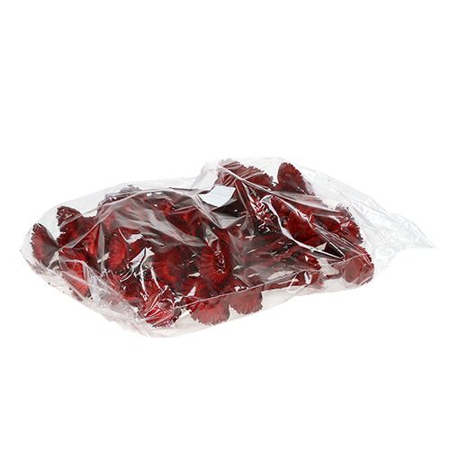 kohteita Compacta rosetti punainen 40 kpl